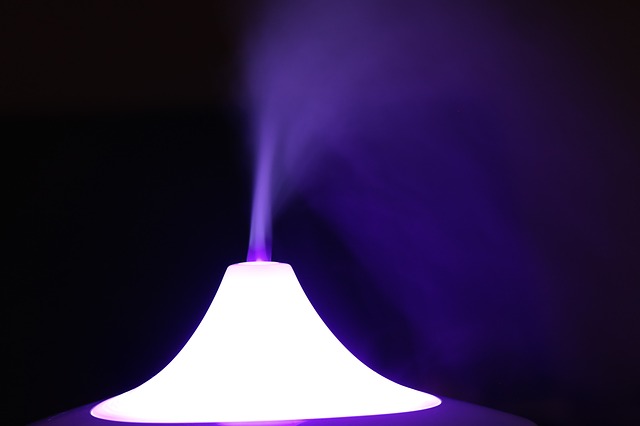 All The Uses Of A Humidifier: The Complete Breakdown